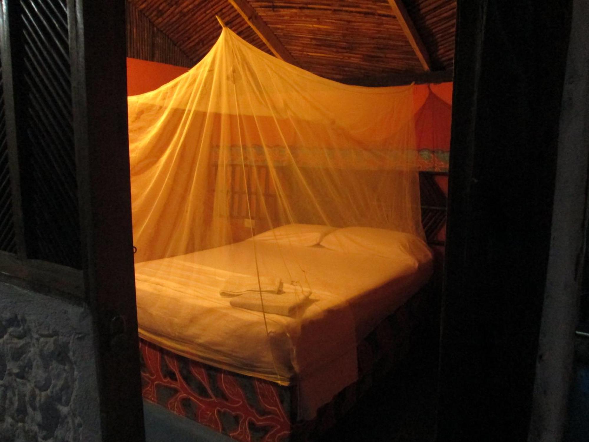 Hostel Cattleya Palomino Eksteriør bilde